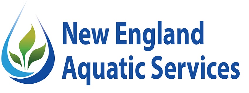 New england 