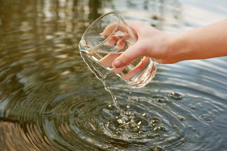 Key Advantages For Clearing Your Waterbody