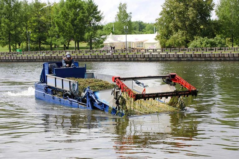 The Importance Of Lake Restoration For Healthy Ecosystems