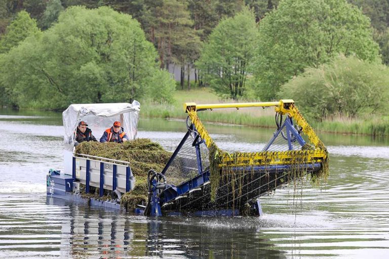 What Does Lake Maintenance Involve?