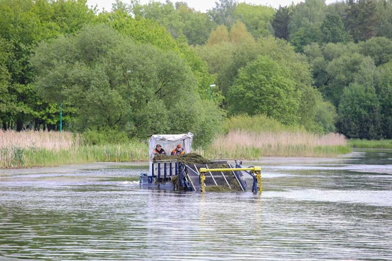 What's Involved In Pond And Lake Management